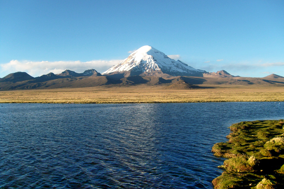 sajama